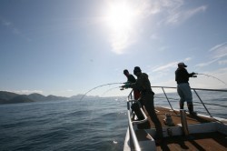 オーシャンズ 釣果