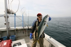 オーシャンズ 釣果