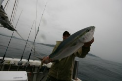 オーシャンズ 釣果