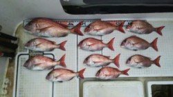 さぶろう丸 釣果