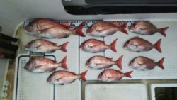 さぶろう丸 釣果