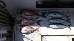 さぶろう丸 釣果