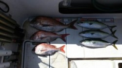 さぶろう丸 釣果