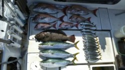 さぶろう丸 釣果