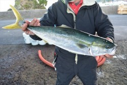 ハピネスⅡ 釣果