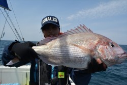 ハピネスⅡ 釣果