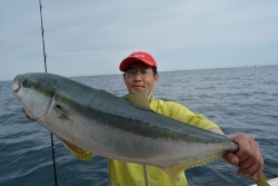 ハピネスⅡ 釣果