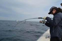 ハピネスⅡ 釣果