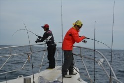 ハピネスⅡ 釣果