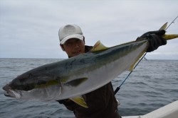 ハピネスⅡ 釣果