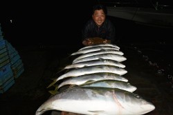 ハピネスⅡ 釣果