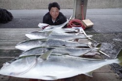 ハピネスⅡ 釣果