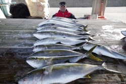 ハピネスⅡ 釣果