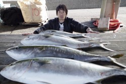 ハピネスⅡ 釣果