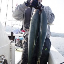 ハピネスⅡ 釣果