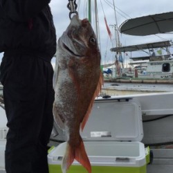 LUZ PLAYA　ルスプラージャ 釣果