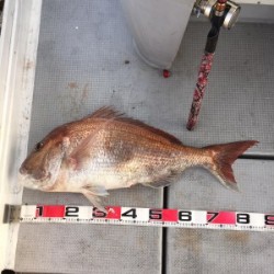 LUZ PLAYA　ルスプラージャ 釣果