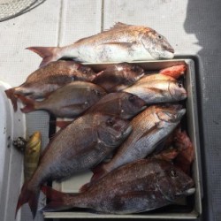 LUZ PLAYA　ルスプラージャ 釣果