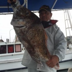 LUZ PLAYA　ルスプラージャ 釣果