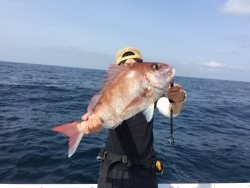 第二隆星丸 釣果