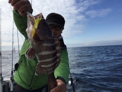 オーシャンキッズ 釣果