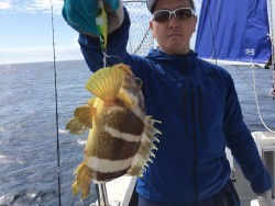 オーシャンキッズ 釣果