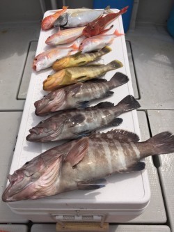 オーシャンキッズ 釣果