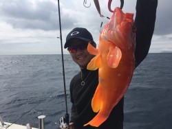 オーシャンキッズ 釣果