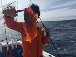 オーシャンキッズ 釣果