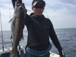 オーシャンキッズ 釣果