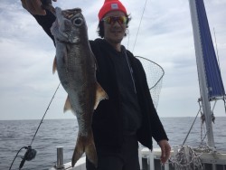 オーシャンキッズ 釣果