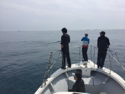 オーシャンキッズ 釣果