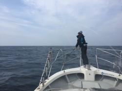 オーシャンキッズ 釣果