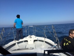 オーシャンキッズ 釣果