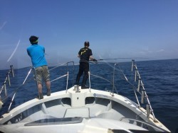 オーシャンキッズ 釣果