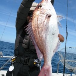 Aquanaut（アクアノート） 釣果