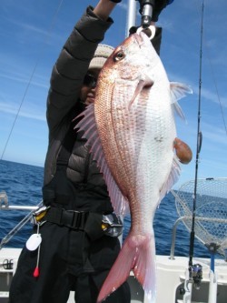 Aquanaut（アクアノート） 釣果