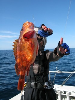 Aquanaut（アクアノート） 釣果