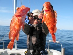 Aquanaut（アクアノート） 釣果