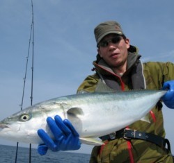 Aquanaut（アクアノート） 釣果