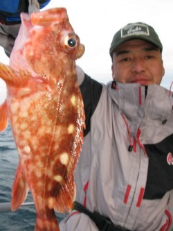 Aquanaut(アクアノート) 釣果