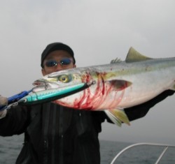 Aquanaut（アクアノート） 釣果