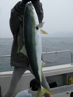 Aquanaut（アクアノート） 釣果