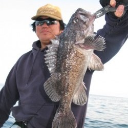 Aquanaut（アクアノート） 釣果