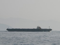 Aquanaut（アクアノート） 釣果