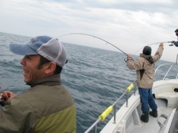 Aquanaut（アクアノート） 釣果