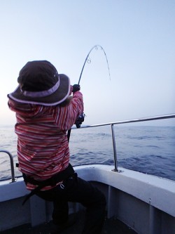 IZANAGI　イザナギ 釣果