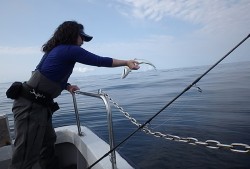 IZANAGI　イザナギ 釣果