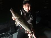 シーマジカル 釣果