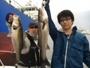 シーマジカル 釣果